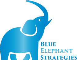 Contact — Blue Elephant Strategies