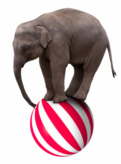 Elephant Circus Stock photography Royalty-free Clip art - PPT ...