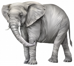 HQ Elephant PNG Transparent Elephant.PNG Images. | PlusPNG