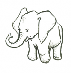 Elephant Background clipart - Drawing, Sketch, Elephants ...