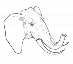 File:Elephant clipart.svg - Wikimedia Commons