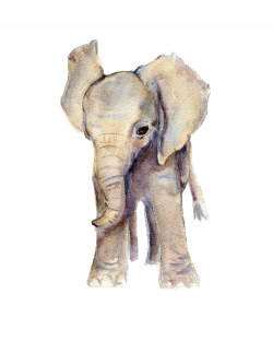 Safari nursery decor, nursery wall art, elephant decor, baby animal ...