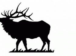 19 Elk clipart HUGE FREEBIE! Download for PowerPoint presentations ...