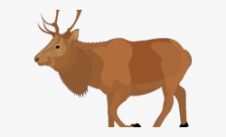 Free Moose Clipart - Animated Elk, Cliparts & Cartoons - Jing.fm