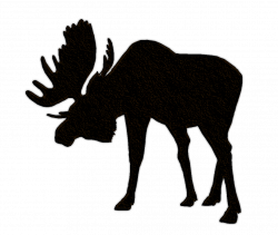 Elk Hunting · ClipartHot
