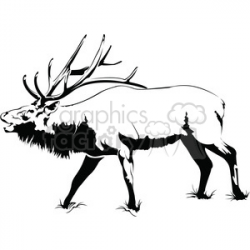 black and white Elk roaring side profile clipart. Royalty-free clipart #  394988