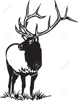 Image result for black and white bull elk clip art | Elk ...