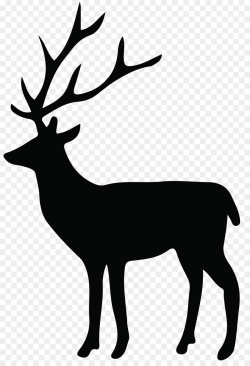 White-tailed deer Reindeer Elk Clip art - Doe Head Cliparts ...