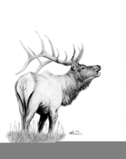 Bugling Elk Clipart | Free Images at Clker.com - vector clip ...