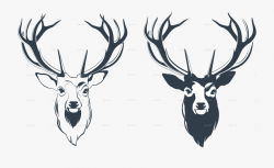 Male Red Deer Head By Sabina S Graphicriver - Male Deer Head ...