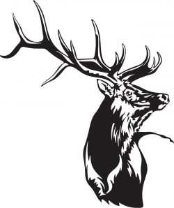 Beautiful Detailed Elk Silhouette Mascot Decal | Decals ...