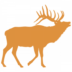 Hunts – Antler Canyon Outfitters