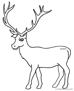 19 Elk clipart HUGE FREEBIE! Download for PowerPoint presentations ...