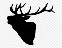 Banner Library Download Elk Skull Clipart - Elk Clipart ...