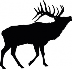 Elk Clipart Black And White | Free download best Elk Clipart ...