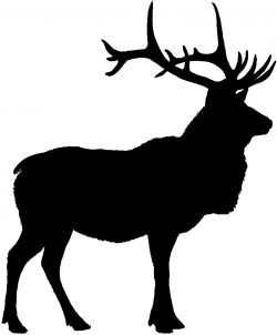 Free Elk Silhouette, Download Free Clip Art, Free Clip Art ...