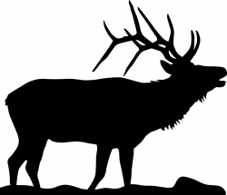 70+ Elk Silhouette Clip Art | ClipartLook