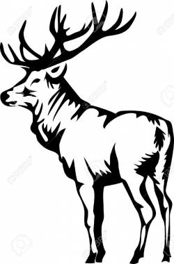 Stock Vector | elk and deer in 2019 | Elk, Logos, Moose art
