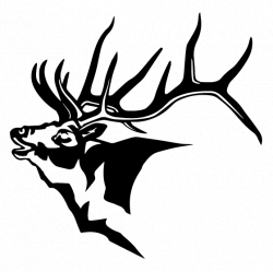 Elk Head Drawing at GetDrawings.com | Free for personal use Elk Head ...