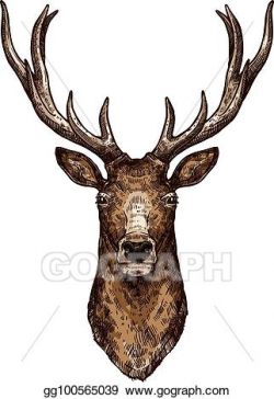 Vector Art - Deer, elk or reindeer sketch of wild forest ...