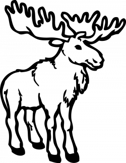 Deer Coloring book Alaska moose Adult Clip art - deer png ...