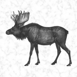 Moose Clipart Stag Digital Image Vintage Printable Art ...