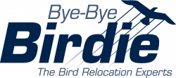 Bye Bye Birdie – Serving NY & NJ for 30 Years