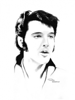 Download Elvis Presley clipart Imagekind Art Cher | Nose ...