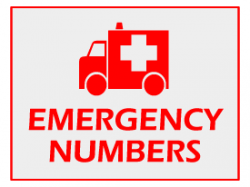 Free Cliparts Emergency Contact, Download Free Clip Art ...