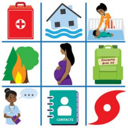 Reproductive Health in Emergency Preparedness and Response