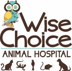 Wise Choice Animal Hospital: Shreveport, LA: Veterinary Clinic
