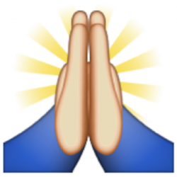 Blessed Emoji | Anamals | Emoji, High five emoji, Hand emoji