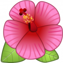 Download Hibiscus Flower Emoji Image in PNG | Emoji Island