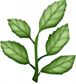 leaf plant plants emoji green aesthetic...