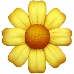 emoji girasol flower sunflower cute girl tumblr summer...