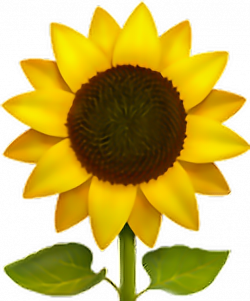 sunflower emoji flower Sun freeedit iPhone cute...
