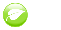 He is Risen! — Life Church Hook