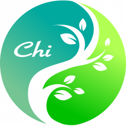 Chi Energized Acupuncture – Energy Regularized • Body Balanced ...