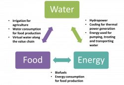 Food-Water-Energy Nexus in China: Challenges and Opportunities ...