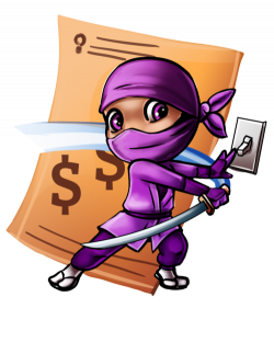 Energy Saving Ninja Party — Energy Ninja
