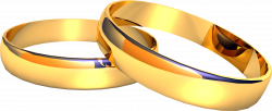 Shiny Wedding Rings transparent PNG - StickPNG