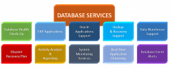 Remote DBA support for continuous data availability.