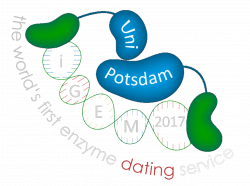 Team:Potsdam/Safety - 2017.igem.org
