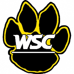 Wayne State (NE) Baseball Scores, Results, Schedule, Roster & Stats ...