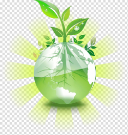 Plant sprout , Earth Natural environment Environmental ...