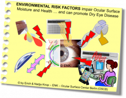 Deeper Insight Therapy 2 - RISK FACTORS — Ocular Surface Center Berlin