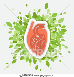 EPS Vector - Flat illustration - human heart with green ...