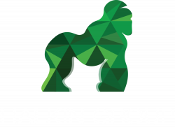 URBAN DEVELOPMENT — Halkin Group