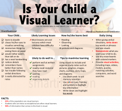 visual learner essay visual learner printable tri lingual essay ...