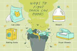 Easy Ways to Battle Trash Can Odors